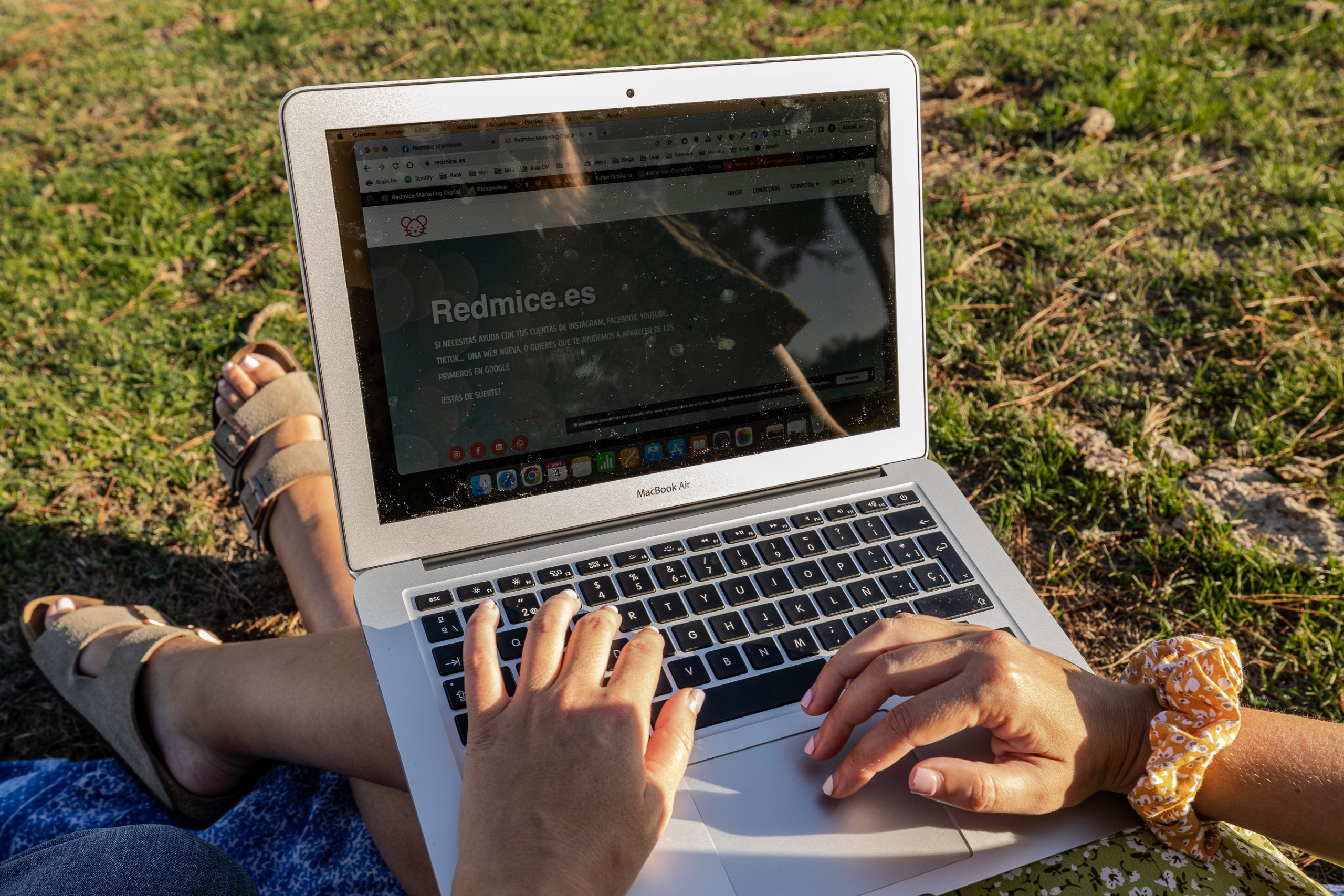 Diseño web Gipuzkoa - Redmice.es